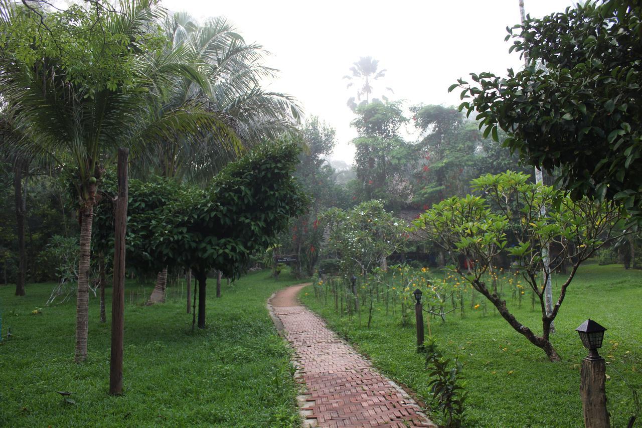 Baan Khaosok Resort Khao Sok National Park Экстерьер фото