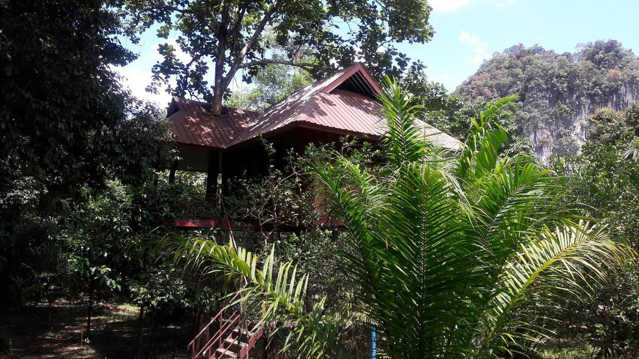 Baan Khaosok Resort Khao Sok National Park Экстерьер фото