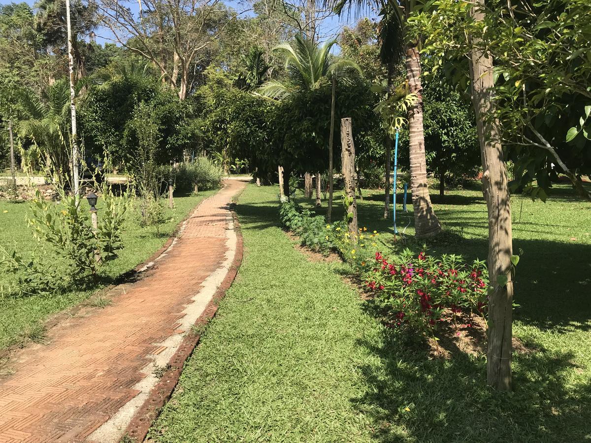 Baan Khaosok Resort Khao Sok National Park Экстерьер фото